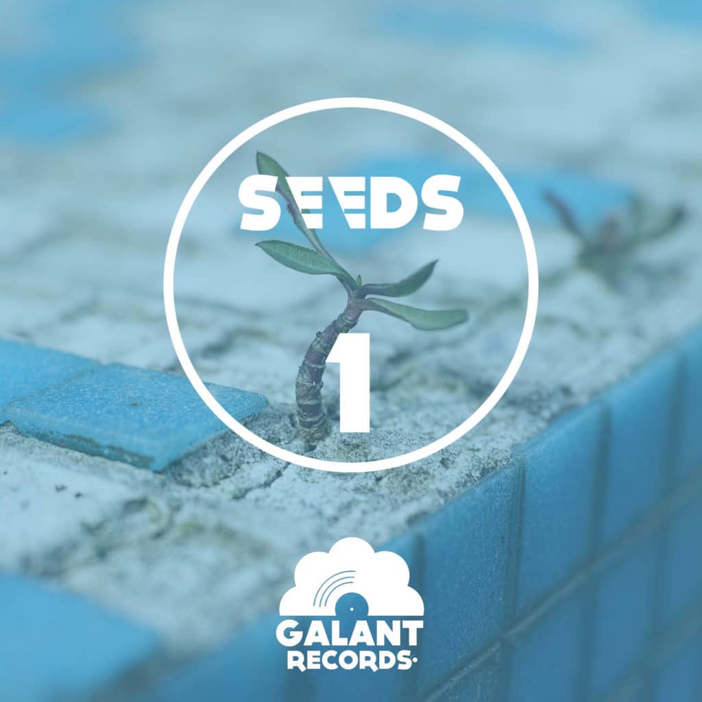 [:fr]Sortie de SEEDS #01[:en]Release of SEEDS #01[:]