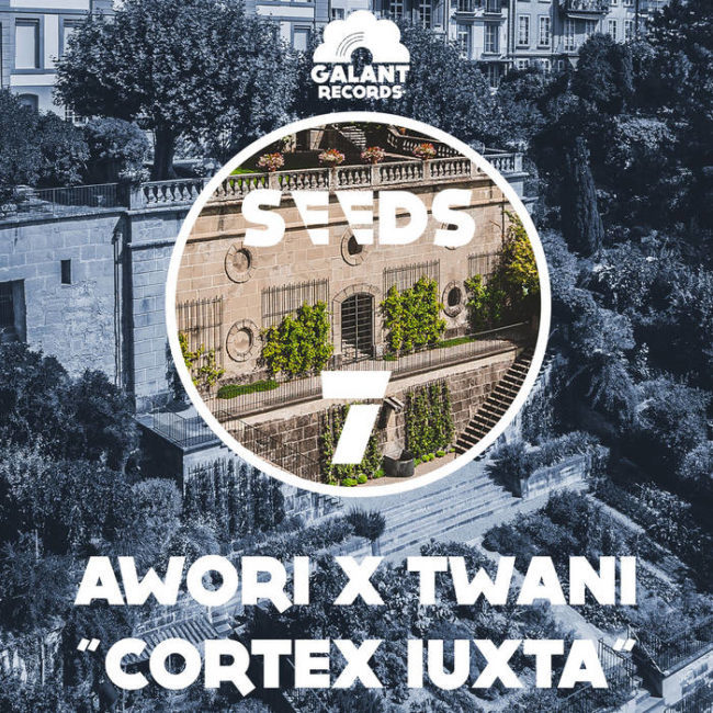 Cortex Iuxta, Awori, Twani, Jarring Effects