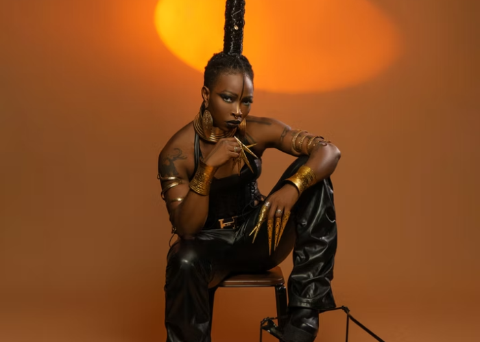 Nlembo Ntila, Dobet Gnahoré, Les Mamans du Congo, Rrobin